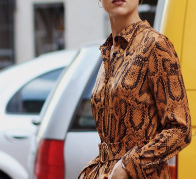 16 Snake Print Dresses To Buy NOW!